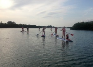 Paddle Boarding in Lemon Bay