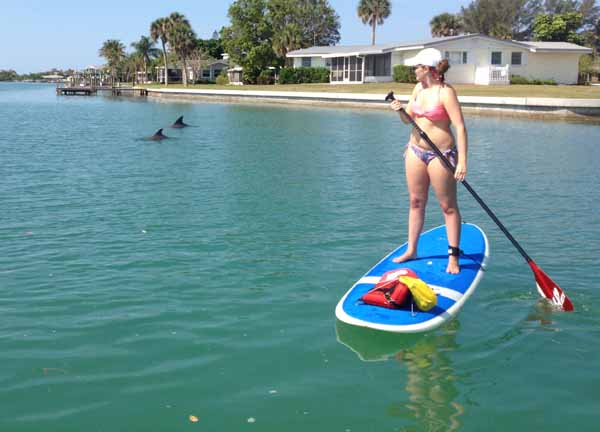Paddle board and kayak with Dolphins