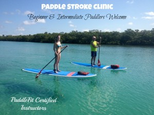 Proper Paddle Board Stroke - SUP Englewood | Paddle Board and Kayak ...