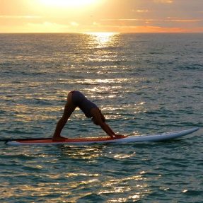 Paddle Board Yoga Instructor at SUP Englewood