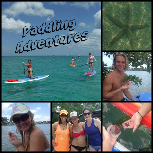 Paddling Adventures with SUP Englewood