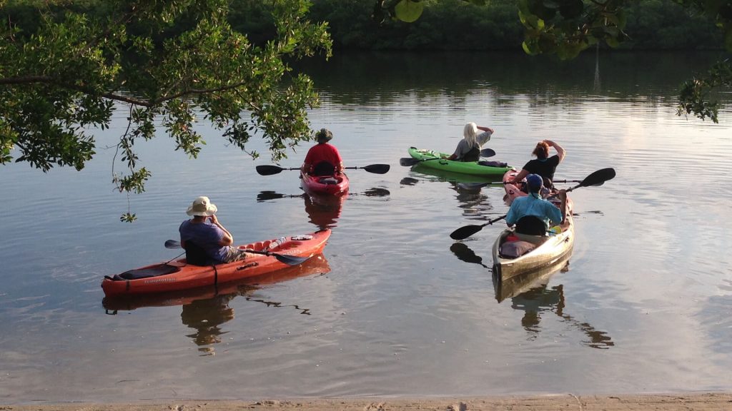 Join a Guided Kayak Eco Tour on Kayaks and Paddle Boards with SUP Englewood