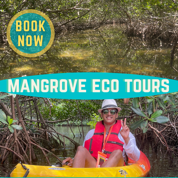 eco tours englewood fl