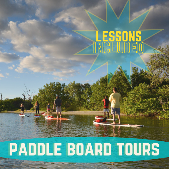 lessons included in paddle boarding tours