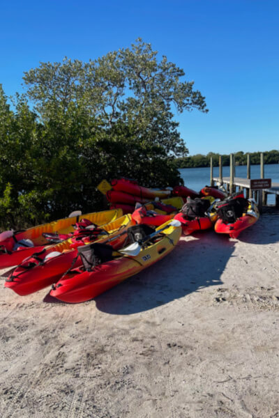 Kayak Rentals at Don Pedro Island State Park