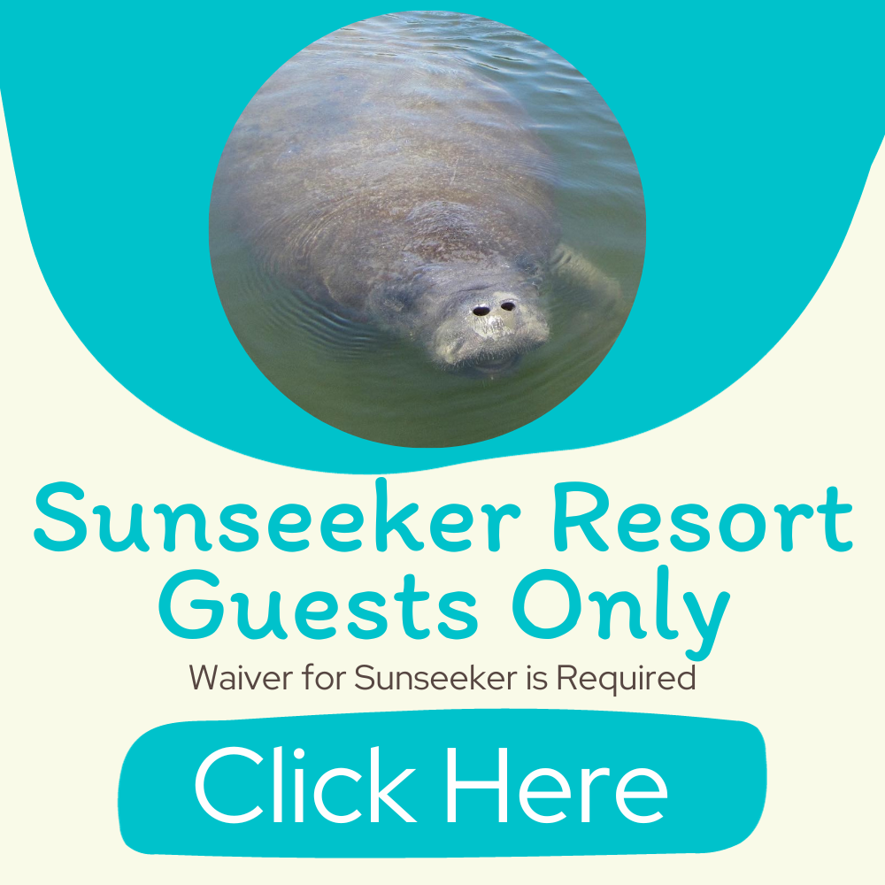 Clickable link for activities waivers for all guests of Sunseeker Resort
