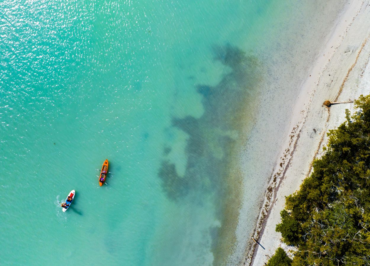 Paddle Board & Kayak | Rentals | Eco Tours [Englewood FL]