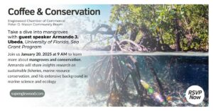 mangrove environmental event 